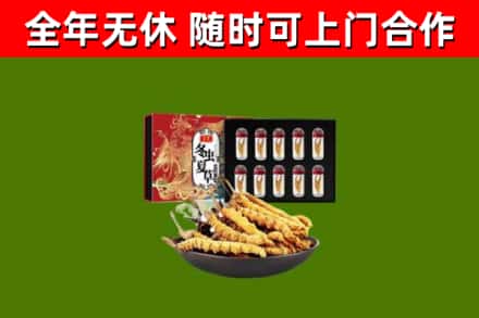 呼兰区烟酒回收冬虫夏草礼盒.jpg