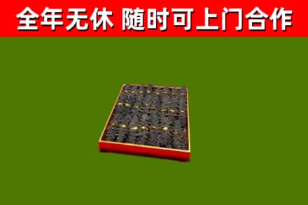 呼兰区回收海参
